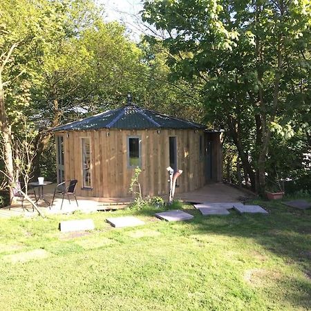 The Roundhouse - Unique Space Nestled In The Trees Begelly Luaran gambar